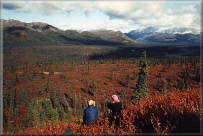 God's country: mountains and forest.