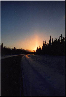 A spectacular winter sunset flares through the trees.