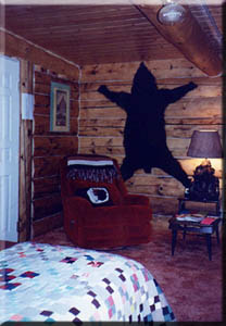 Interior of the Bear cabin.