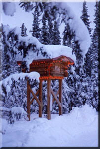 The log cache at WinterCabin, decorated for Christmas.