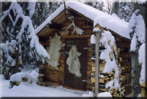 WinterCabin II, the Celebrity cabin, in winter.