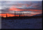 Sunrise on Blueberry Flats at the base of the Alaska Range.