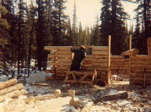 Dick works on the log cabin.