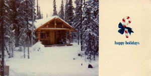 The completed log cabin at Christmas, 13 months later.