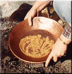 About $8,000 worth of gold nuggets.