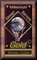 Winter award badge