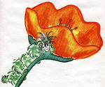 Watercolor of Katy the caterpillar.