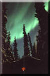 Aurora borealis over the log cabin.