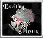 Excellence silver award